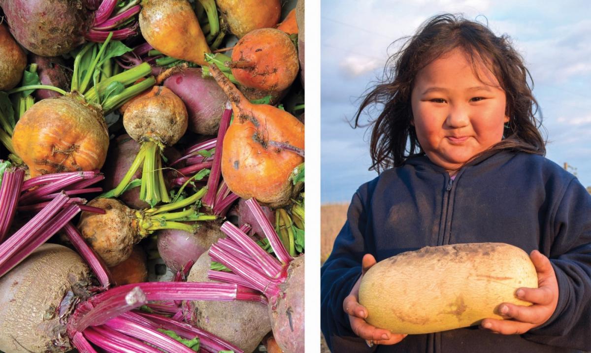 Two photos, one of plants and one of a young girl holding a plant.