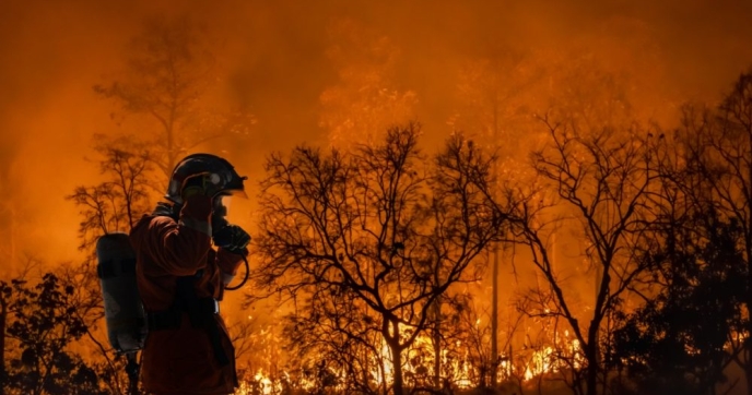 Shutterstock image, firefighter in gear in foreground among orange wildfire and burning trees in background