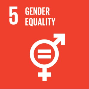 Sustainable Development Goal 5 Gender Equality